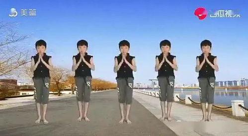 预备操视频,轻松开启健康活力每一天